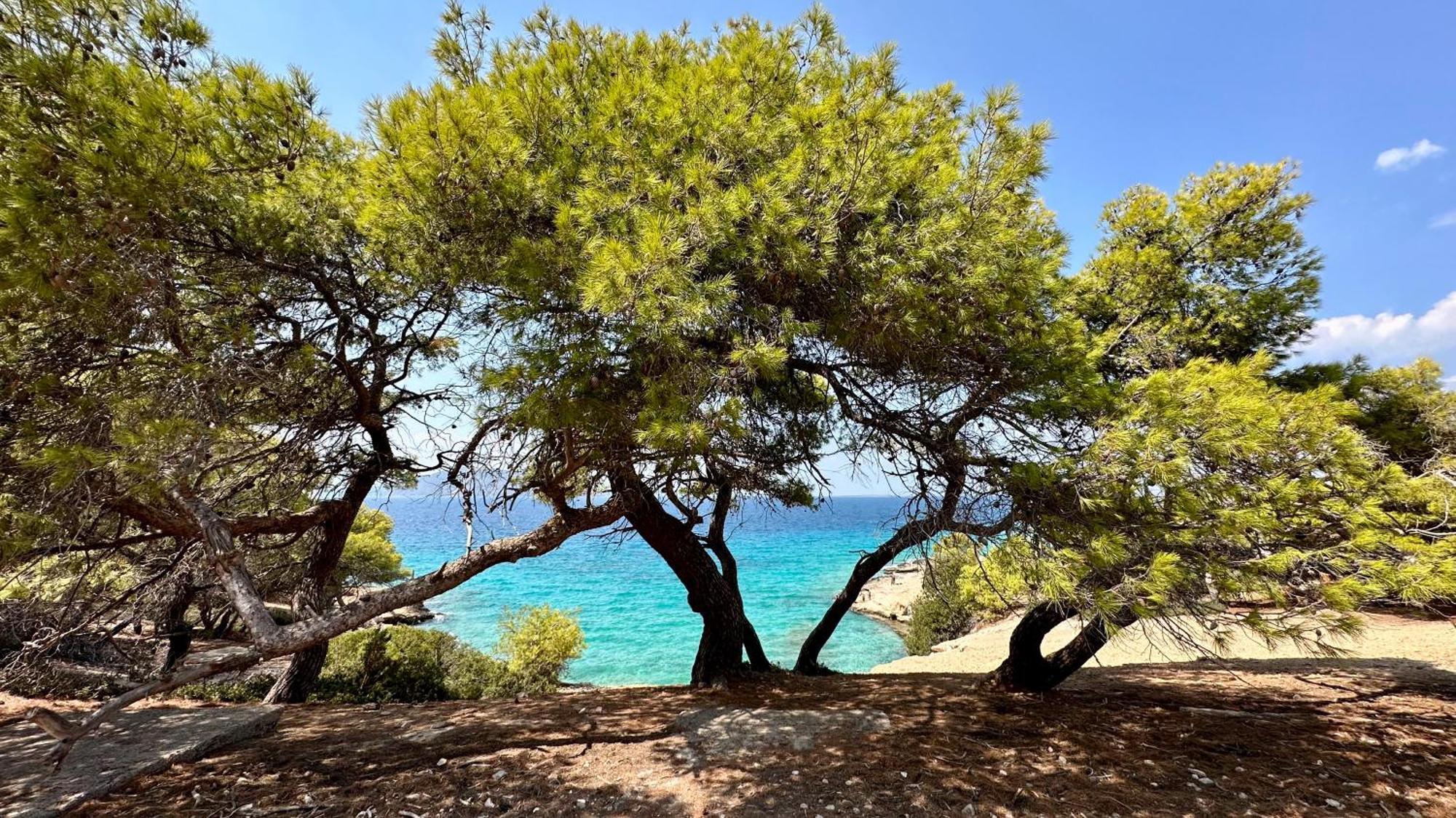 Appartement Vue Sur Mer Soul Family, Egine Aegina Dış mekan fotoğraf