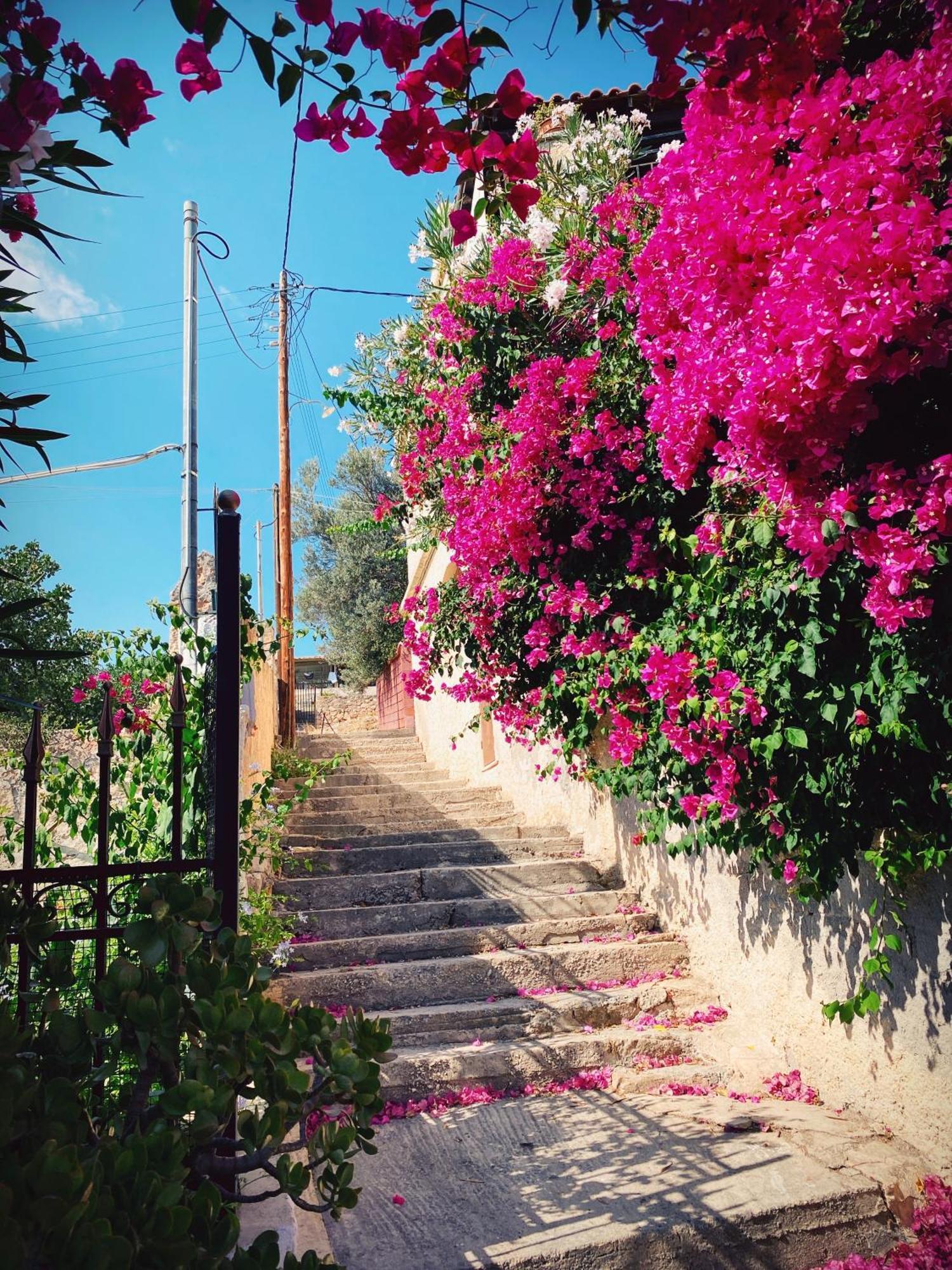 Appartement Vue Sur Mer Soul Family, Egine Aegina Dış mekan fotoğraf